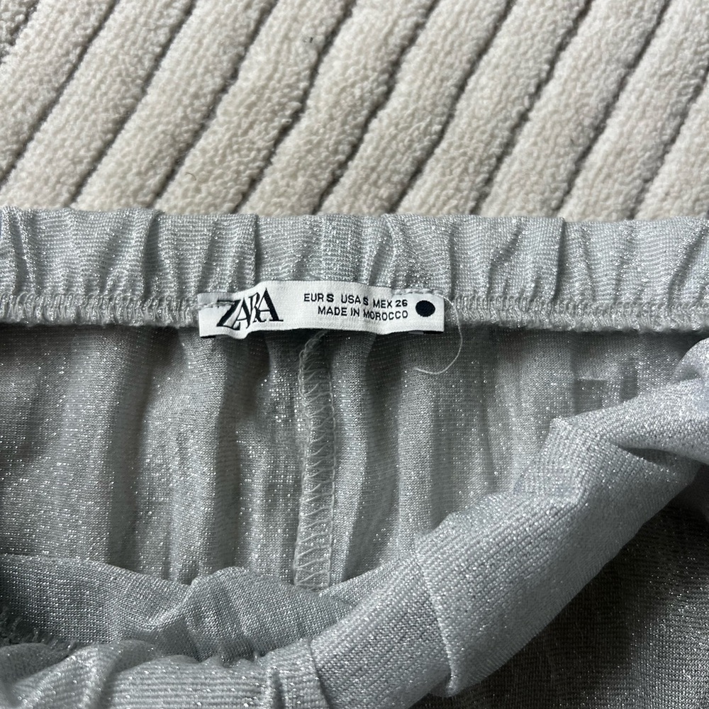 Zara Sheer Silver Skirt